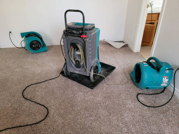 Best 24/7 water damage repair  in Montezuma, IA