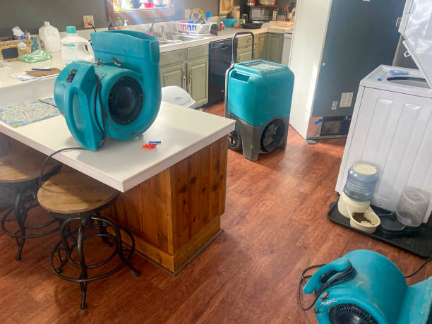 Best Water damage restoration process  in Montezuma, IA