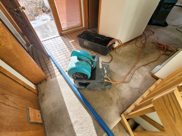 Best Water damage restoration mold remediation  in Montezuma, IA