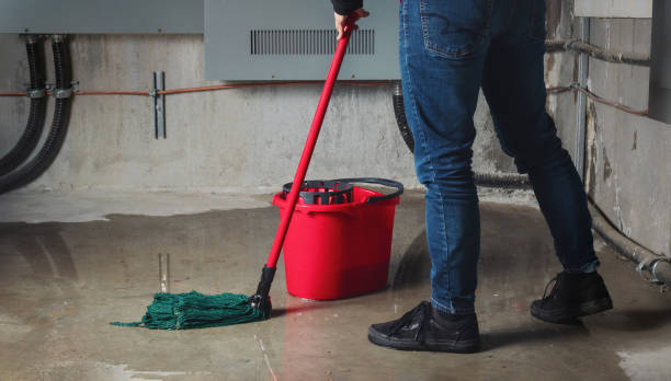 Reliable Montezuma, IA Water damage restoration Solutions