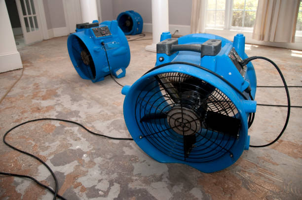 Best Water damage restoration services  in Montezuma, IA