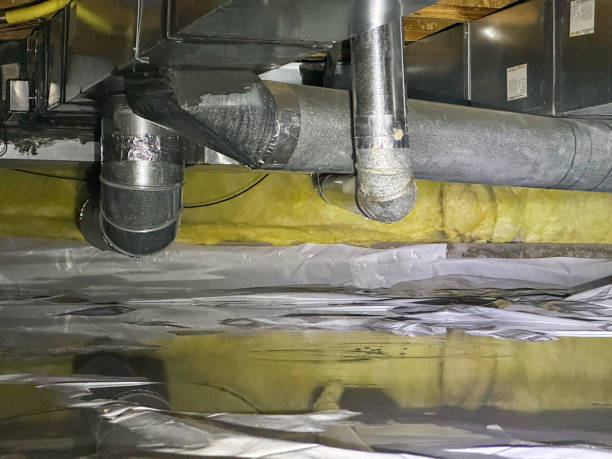 Best Flooded house restoration  in Montezuma, IA