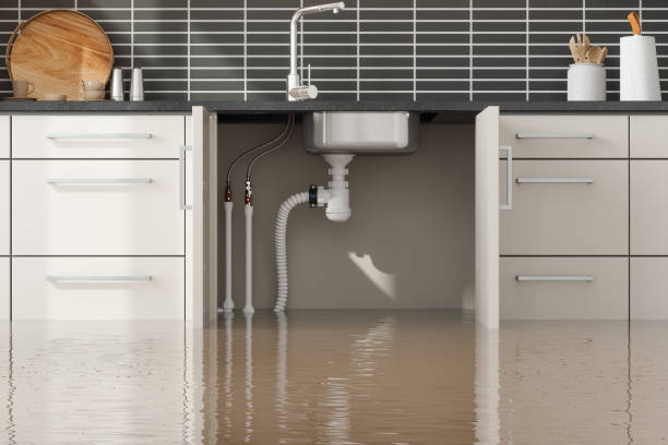 Best Ceiling water damage repair  in Montezuma, IA