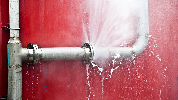 Best Flood restoration services  in Montezuma, IA